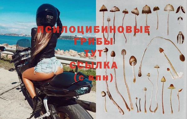 гашишное масло Баксан