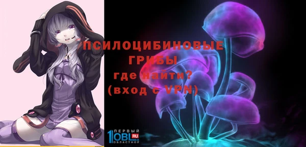 стафф Арсеньев