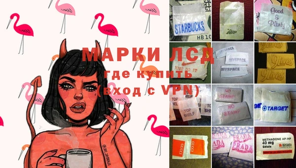 ПСИЛОЦИБИНОВЫЕ ГРИБЫ Аркадак